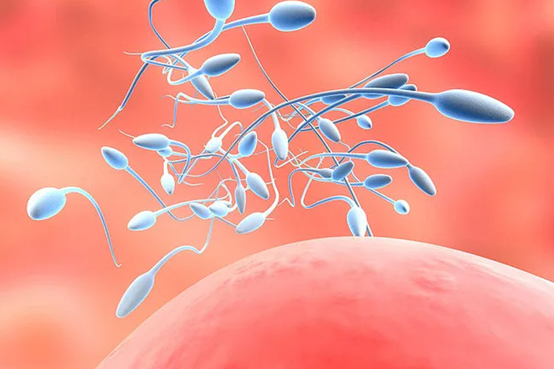 合肥助孕生孩子（合肥助孕前后注意事项）