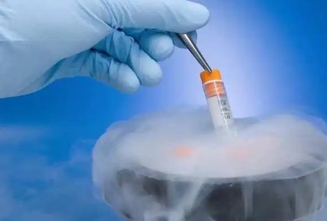 济南试管试管代怀机构电话（济南试管试管代怀机构服务评价）